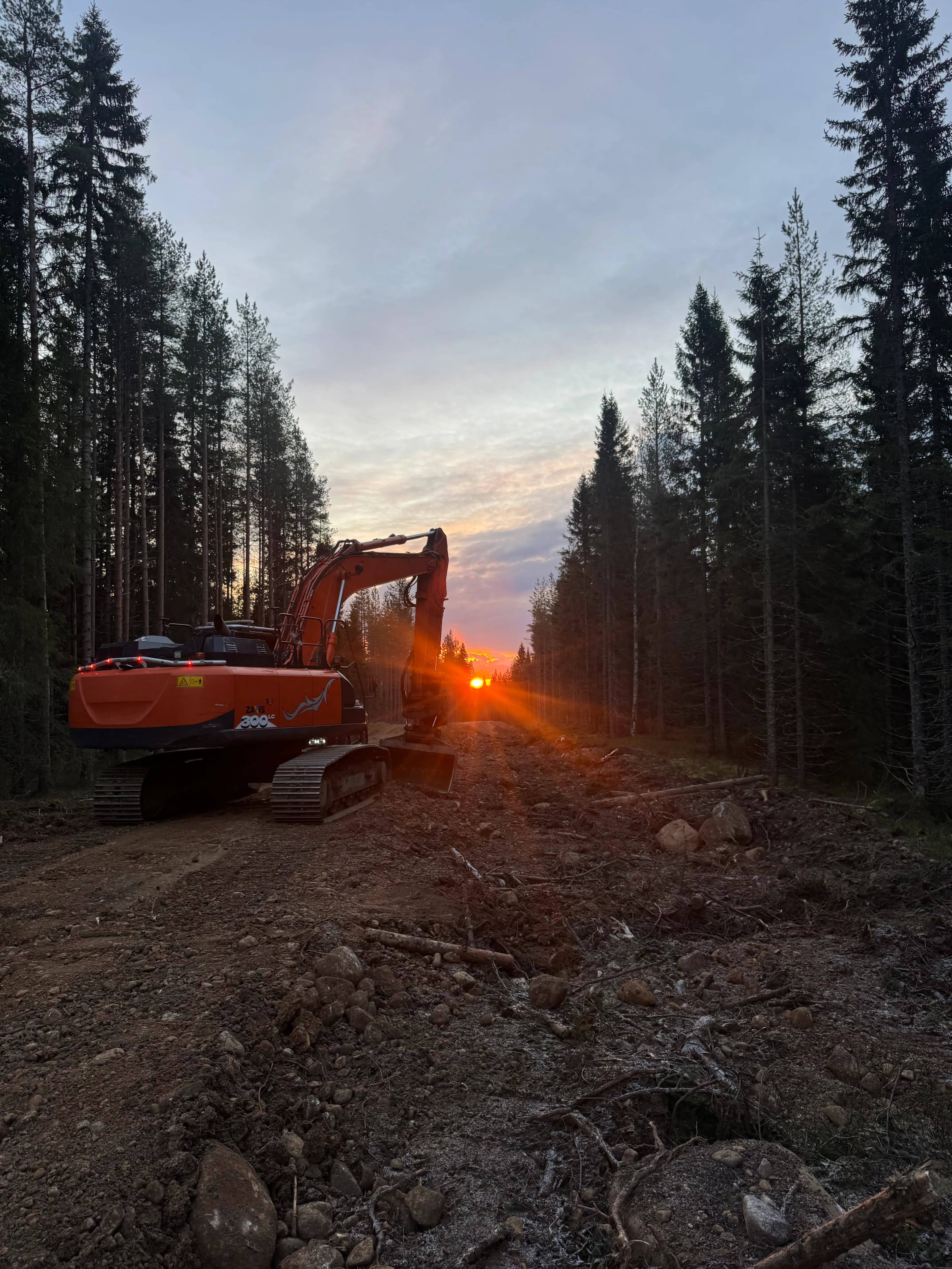Bryta skogsvägar